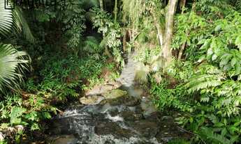 Imagem 3: Sítio à venda em Blumenau/SC