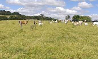 Imagem: Terreno com 411.000 e 920.000 Castelo Branco