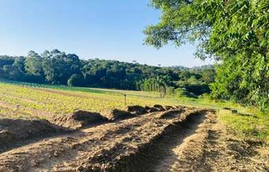 Imagem 6: Terrenos e chácaras no Interior pronto pra construir Cd. PXC