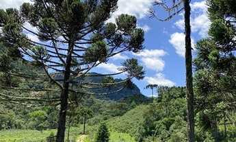 Imagem 7: Terreno Rural Urubici/Sítio 5 hectares Urubici