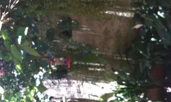 Imagem 4: Casa com 2 quartos