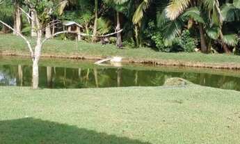 Imagem 2: Fazenda/Sítio/Chácara para venda em Guaramirim no Rio Branco