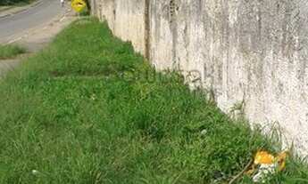 Imagem 7: Terreno para Venda em Planta Meireles Sobrinho Piraquara-PR