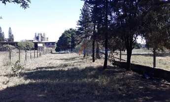 Imagem 4: Terreno - Cascata - Paulínia