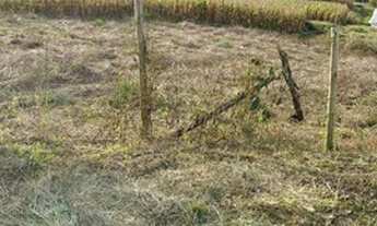 Imagem 4: Chácara Rancho Queimado