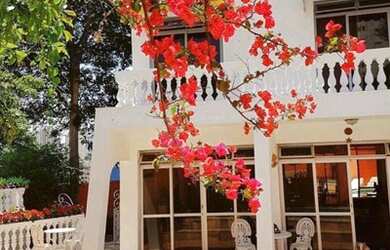 Imagem 2: Casa de 6 Dormitórios na Rua Samambaia