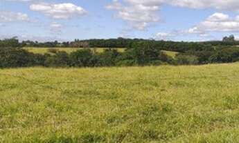 Imagem 2: Terreno com 411.000 e 920.000 Castelo Branco