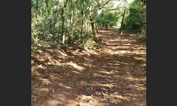 Imagem 5: Lindíssimas Chácaras escrituradas, localizadas em Viamão!