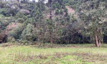 Imagem 4: Terreno de 2 hectare em Urubici