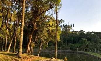 Imagem 7: Chácara para Venda