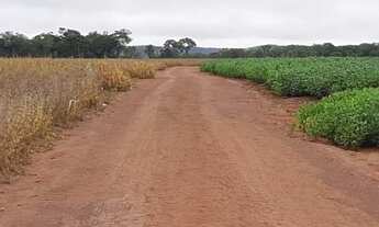 Imagem 5: Fazenda Premium | 391 Alqueires | Safra e safrinha