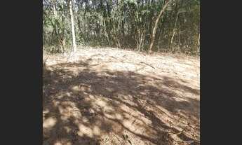 Imagem 6: Lindíssimas Chácaras escrituradas, localizadas em Viamão!