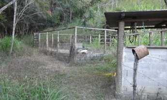 Imagem 2: Fazendinha 16ha, 2criatorios de peixes, casa, área de lazer, Baldim Temos varias opções)