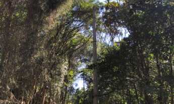 Imagem 2: OPORTUNIDADE! Lindo Terreno em Juquitiba, aceita entrada + parcela