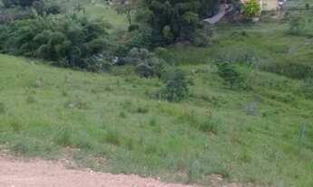 Imagem 6: Você que gosta de plantação