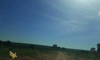 Imagem 3: Fazenda Ribas divisa com Suzano