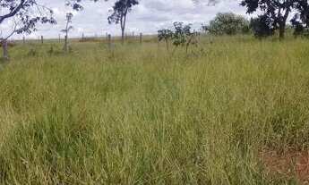 Imagem 6: Terreno Chácara Fazenda Nova Tangará 1MilM²" Apenas 3km de Terra"