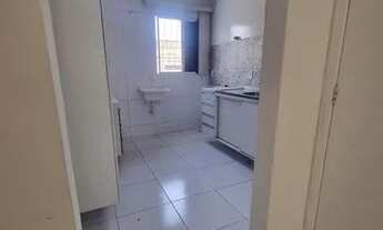 Imagem 7: Alugo casa em Privê (paulista