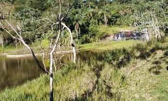 Imagem 3: Lotes de 600² Terreno / lote com venda por R$45.000