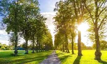 Imagem: Sitinho em Cedral uma graca apenas 890 mil