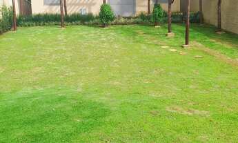 Imagem 5: Terreno de 650 m², murado, Jardim Itaú