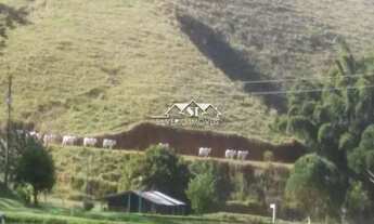 Imagem 7: Fazenda- Rio Claro, Centro