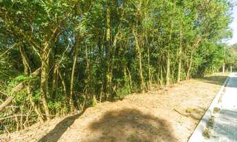Imagem: SãO LEOPOLDO - Terreno Padrão - Campestre