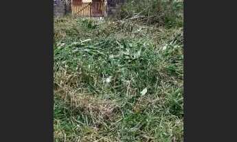 Imagem 2: Terreno escriturada a venda na praia, metragem de 250 m². Itanhaém/SP