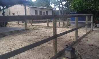 Imagem 5: Fazenda muito próxima a Brasília DF para criação de gado com 25 Alqueires (São