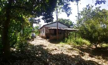 Imagem 3: Chácara em Santa Rosa 9 9 8 0 3 8 3 7 6