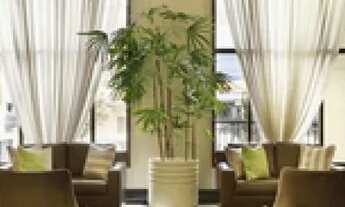 Imagem 7: APARTAMENTO - JARDIM AMÉRICA - SP