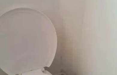 Imagem 5: SÃO PAULO - Casa Padrão - IPIRANGA