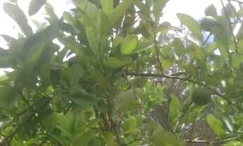 Imagem 3: Linda casa no Condomínio Lagoa do Mato - Macaíba