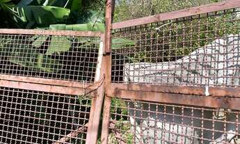 Imagem 2: Lote/Terreno para venda tem 1000 metros quadrados em São José - São Caetano do Sul - SP