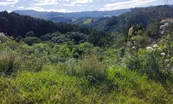 Imagem: Imóvel rural em Anitapolis