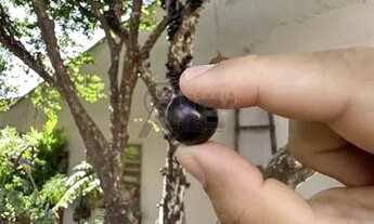 Imagem 4: Morada do Sol  Lote 360m2  180m2 de área construída <br&gt