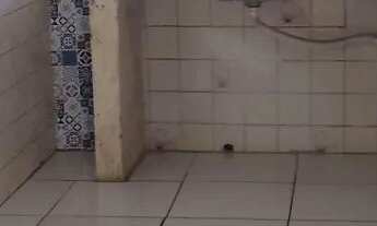 Imagem 3: Aluga-se Kitnet 2 dois quartos com garagem