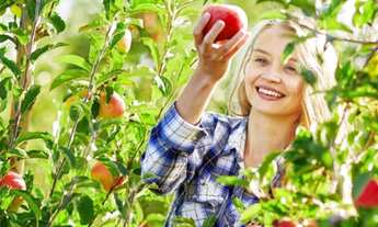 Imagem 2: Fazendinhas 20.000m2 com Acesso Todo Asfaltado em Baldim 40.600 + Parcelas