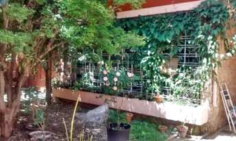 Imagem 4: SÃO PAULO - Casa Comercial - VILA MARIANA