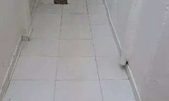 Imagem 5: Casa Residencial à venda, Vila Mariana, São Paulo - CA1294