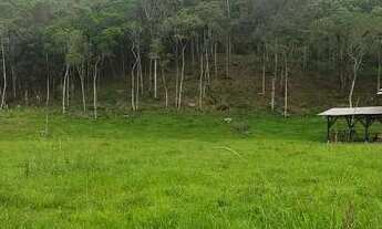 Imagem 3: SÍTIO COM EXCELENTE METRAGEM NO CATÉS EM CAMBORIÚ