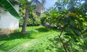 Imagem 4: Casa com Amplo Quintal 02 Quartos Terraço em Quintino