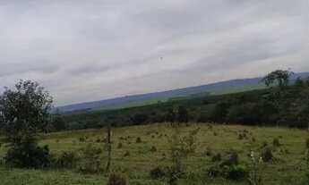 Imagem 5: Fazenda em Pedregulho SP com 50 alqueires a 120 o alqueire