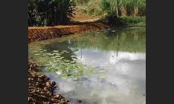 Imagem 2: Chácara de 3 mil metros com proprietário