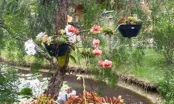 Imagem 2: Chácara com área privativa de 1050m²; Casa de 100m²; Piscina; Área gourmet e muitas benfei