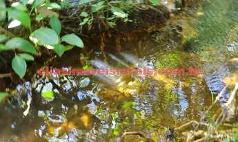 Imagem 2: Sítio 2,0 hectares - Tupaciguara - Casa, córrego, curral, pomar