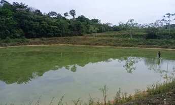 Imagem: Sítio 500 x 1.000 na Am 10 km 120 com 4