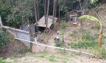 Imagem 2: MiniChácara/Terreno 1170m² Mairiporã! C/ Edícula, Pomar e água, luz . 25Km de SP