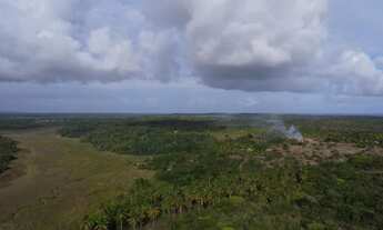 Imagem 5: Fazenda Mista em Conde -BA