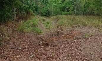 Imagem 4: Excelente terreno(chácara 13mil mts?